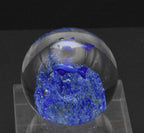 Vintage Blue Dolphins Encased Glass Paperweight