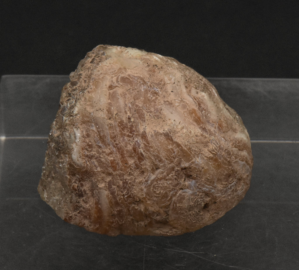 Carnelian and Quartz Geode Half