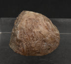 Carnelian and Quartz Geode Half