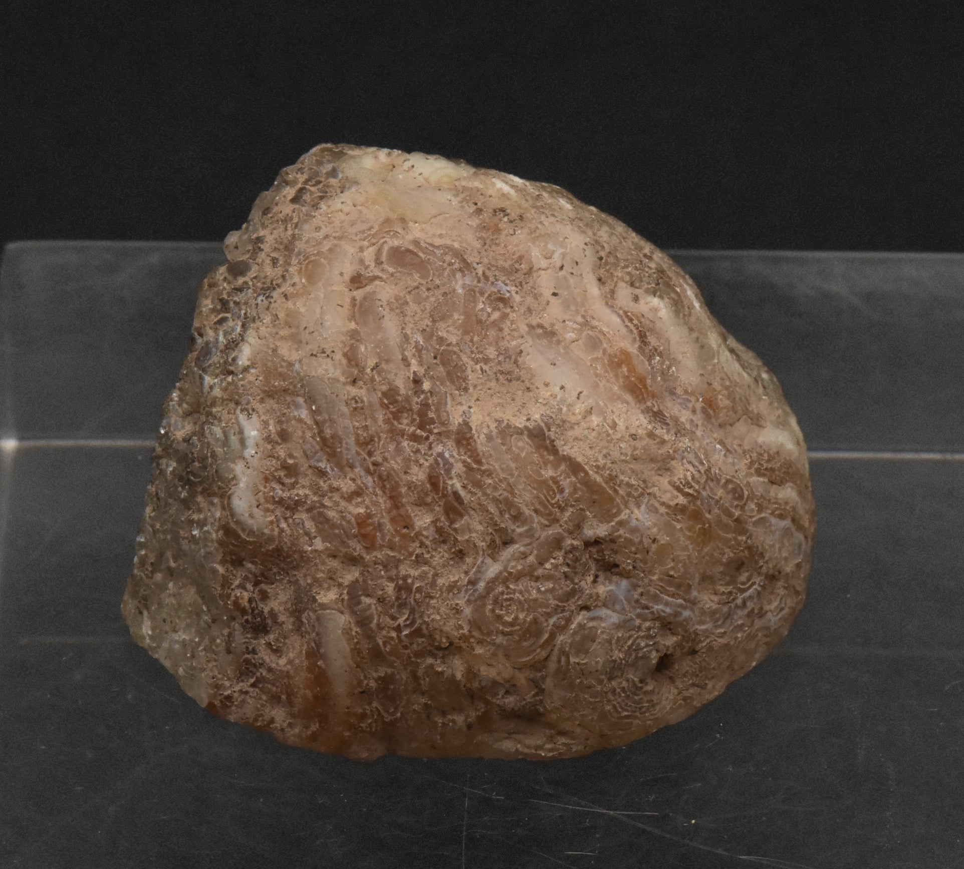 Carnelian and Quartz Geode Half