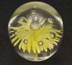 Vintage Light Yellow Flower Encased Glass Paperweight