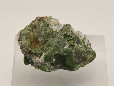 Chromium Diopside Cluster on Quartz Matrix - Finland