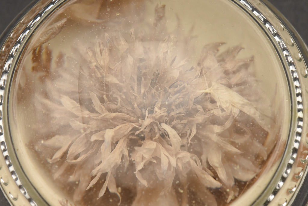 Vintage Real Dried Flower Glass Paperweight