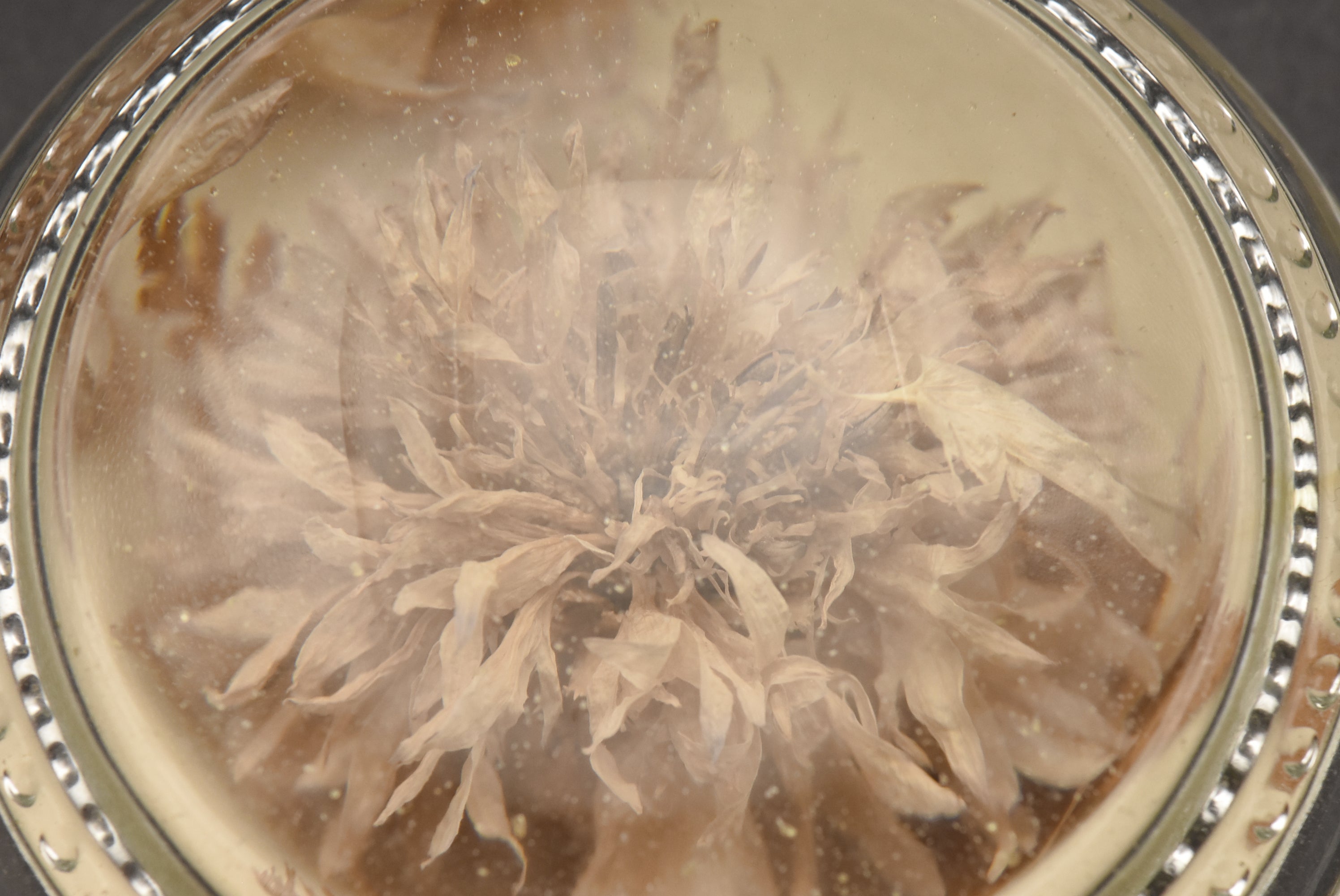 Vintage Real Dried Flower Glass Paperweight