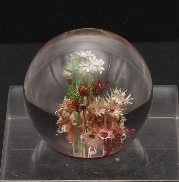 Vintage Dried Floral Specimens in Acrylic Paperweight