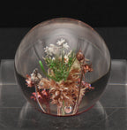 Vintage Dried Floral Specimens in Acrylic Paperweight