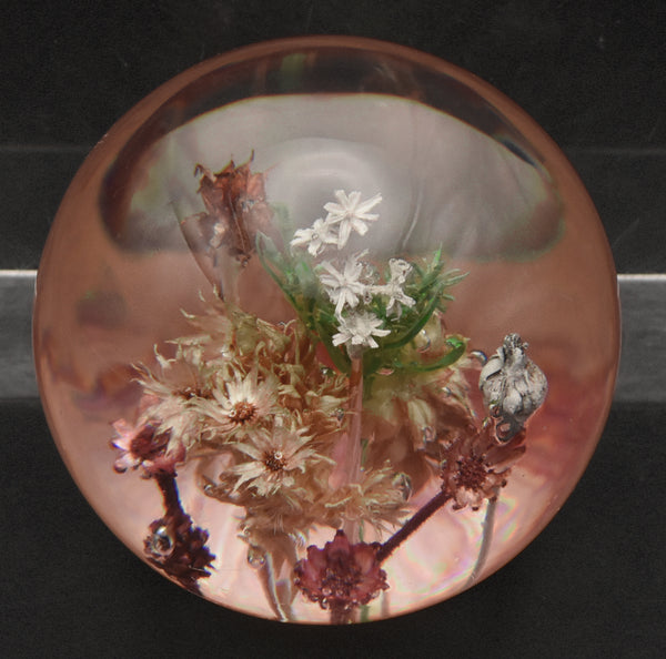 Vintage Dried Floral Specimens in Acrylic Paperweight