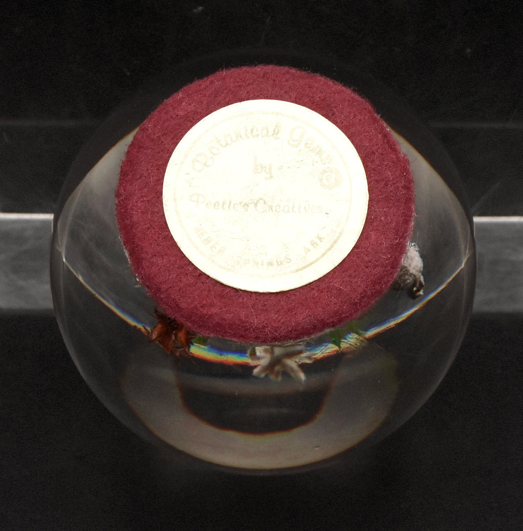 Vintage Dried Floral Specimens in Acrylic Paperweight