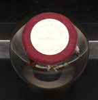 Vintage Dried Floral Specimens in Acrylic Paperweight