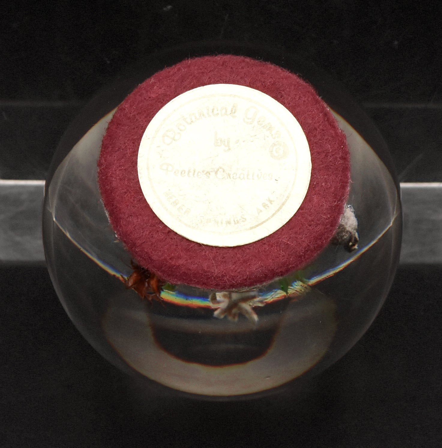 Vintage Dried Floral Specimens in Acrylic Paperweight