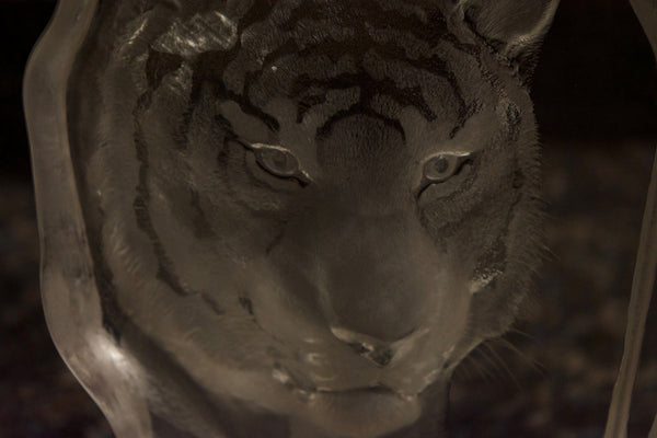 Mats Jonasson Crystal Tiger Plaque