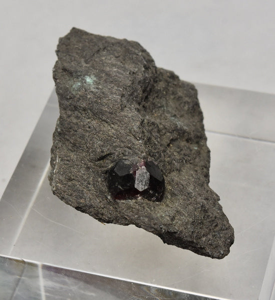 Large Raw Garnet in Biotite Mica Black Schist