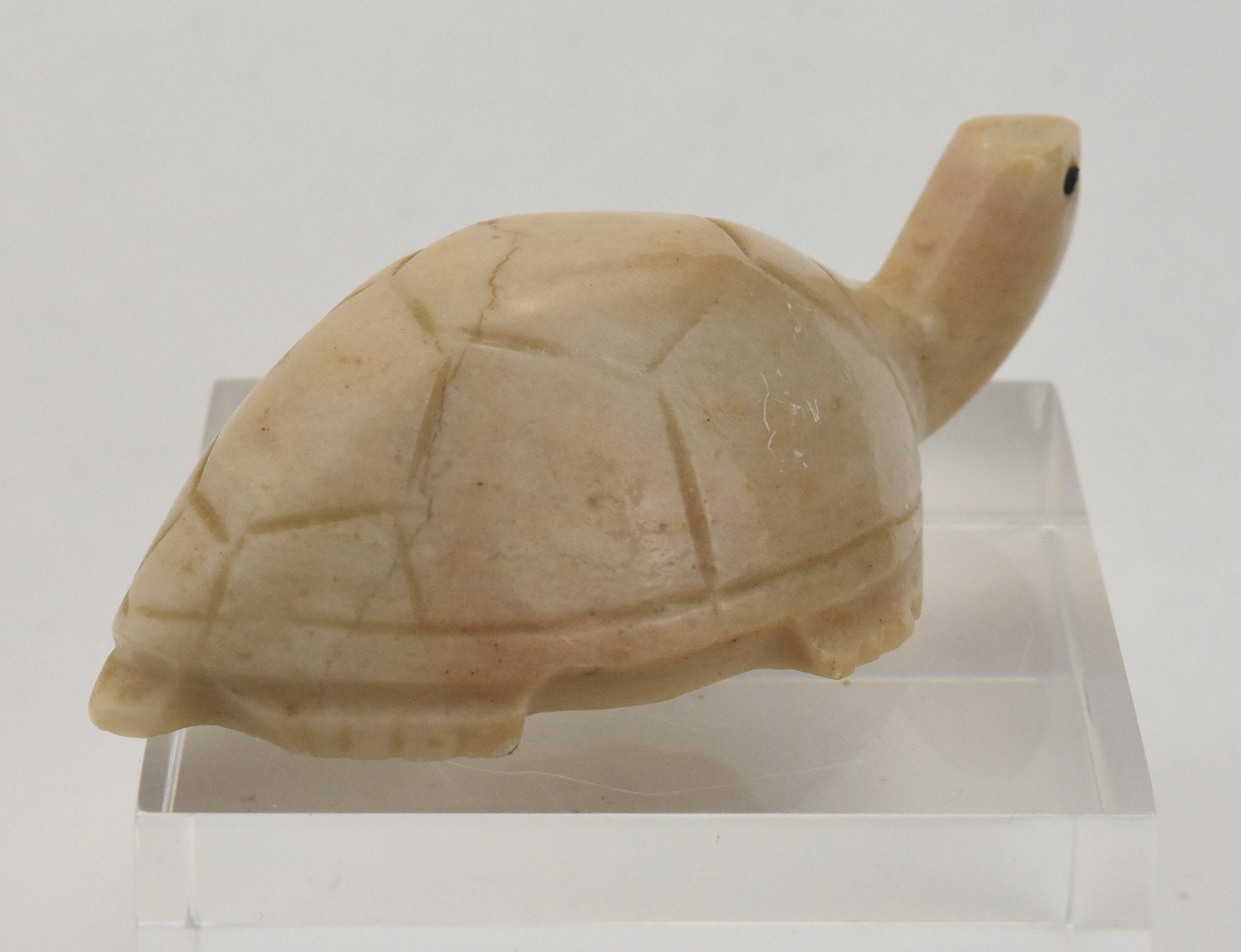 Carved Soapstone Turtle