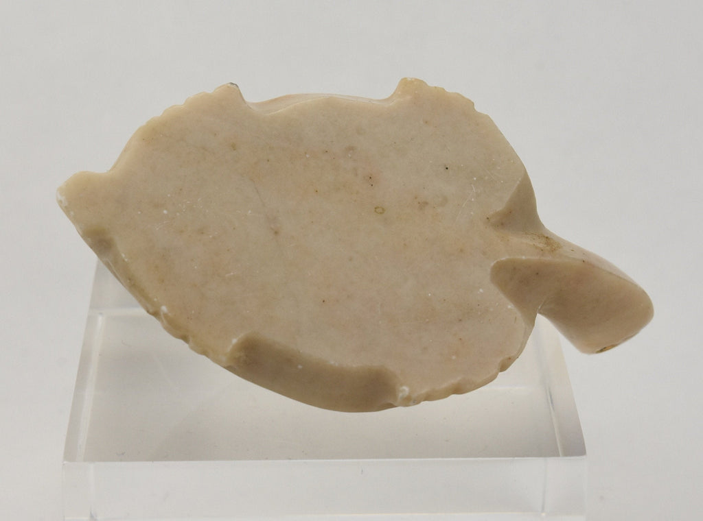 Carved Soapstone Turtle