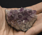Amethyst Crystal Cluster
