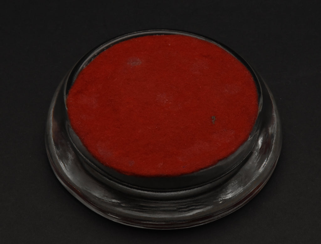Vintage Photograph Glass Paperweight