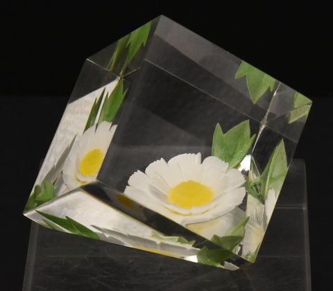 Russ - Vintage Acrylic Daisy in a Cube Paperweight