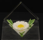 Russ - Vintage Acrylic Daisy in a Cube Paperweight