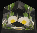 Russ - Vintage Acrylic Daisy in a Cube Paperweight