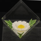 Russ - Vintage Acrylic Daisy in a Cube Paperweight