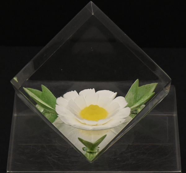 Russ - Vintage Acrylic Daisy in a Cube Paperweight