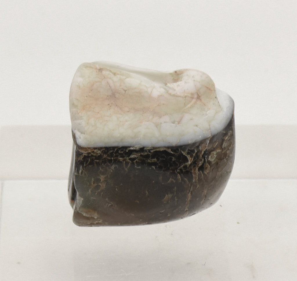 Sardonyx Polished Chunk Mineral Specimen