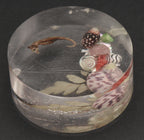 Vintage Sea Specimens in Acrylic Paperweight