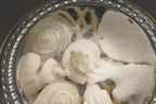 Vintage Beach Souvenir Glass Paperweight