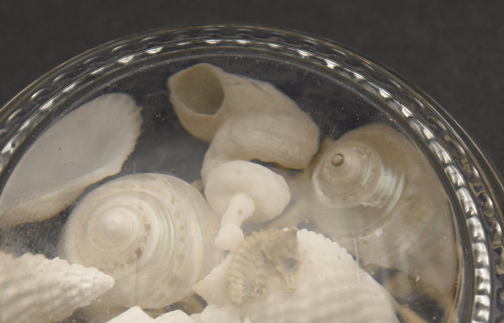 Vintage Beach Souvenir Glass Paperweight