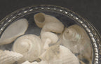 Vintage Beach Souvenir Glass Paperweight
