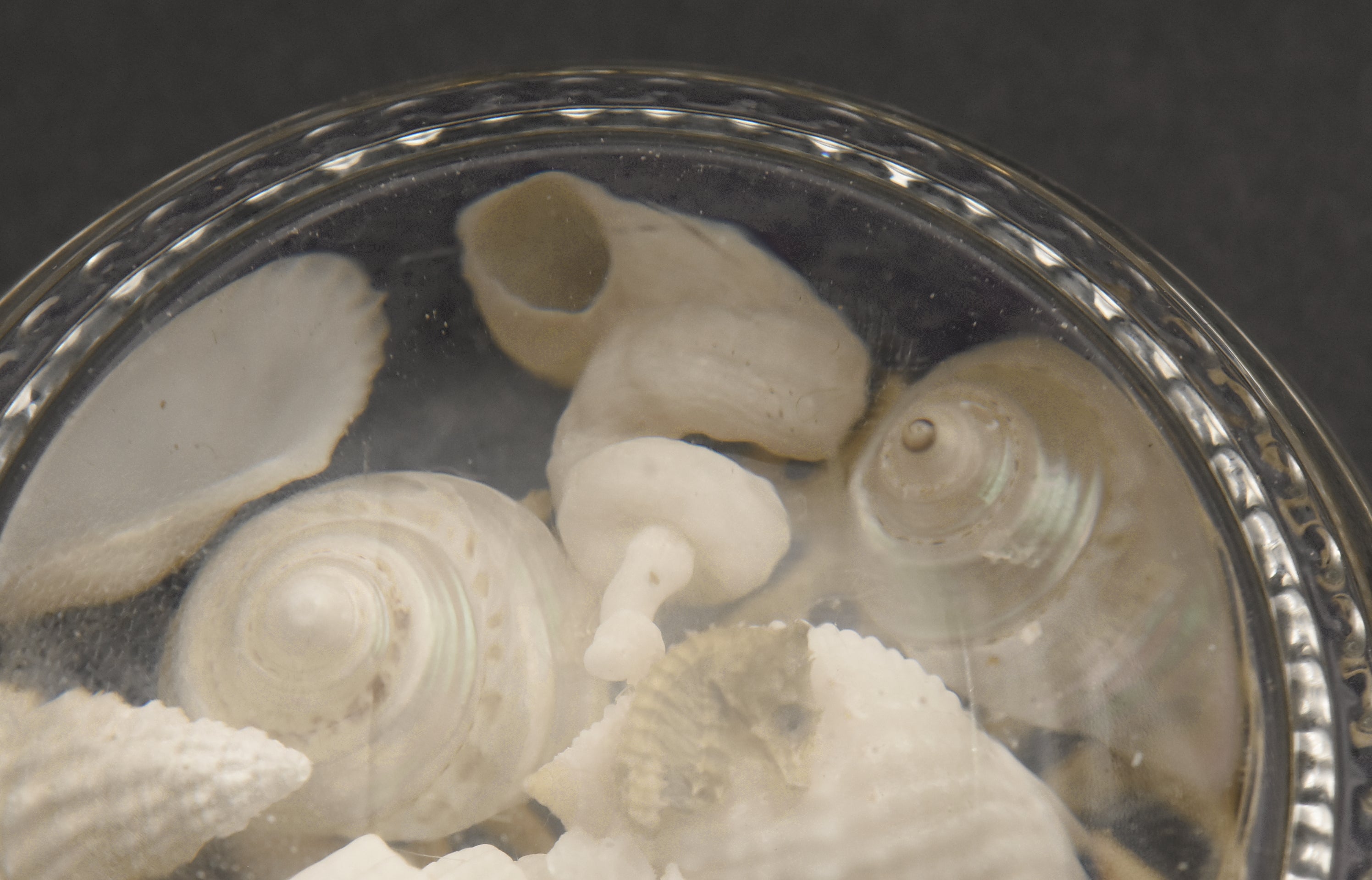Vintage Beach Souvenir Glass Paperweight