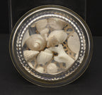 Vintage Beach Souvenir Glass Paperweight