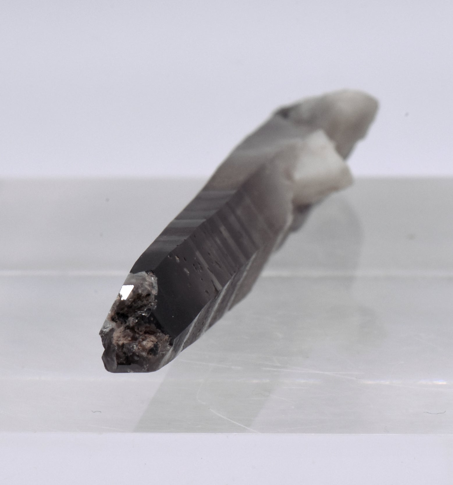 Doubly Terminated Smoky Quartz Crystal Mineral Specimen - Malawi