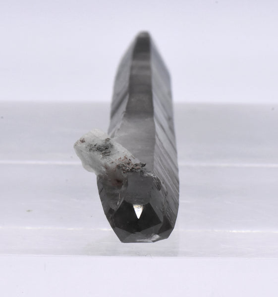 Doubly Terminated Smoky Quartz Crystal Mineral Specimen - Malawi