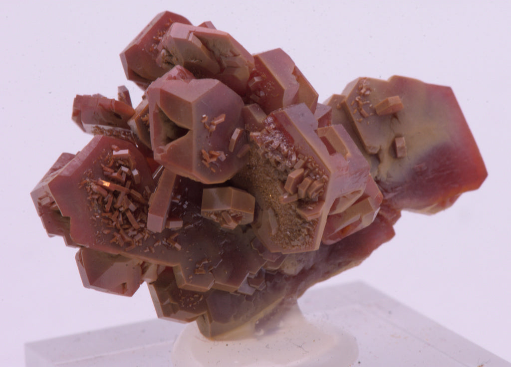 Vanadinite Crystal Cluster Mineral Specimen - Morocco