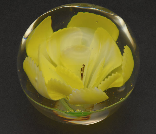 Vintage Yellow Flower Encased Glass Paperweight