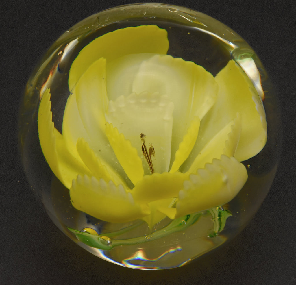 Vintage Yellow Flower Encased Glass Paperweight