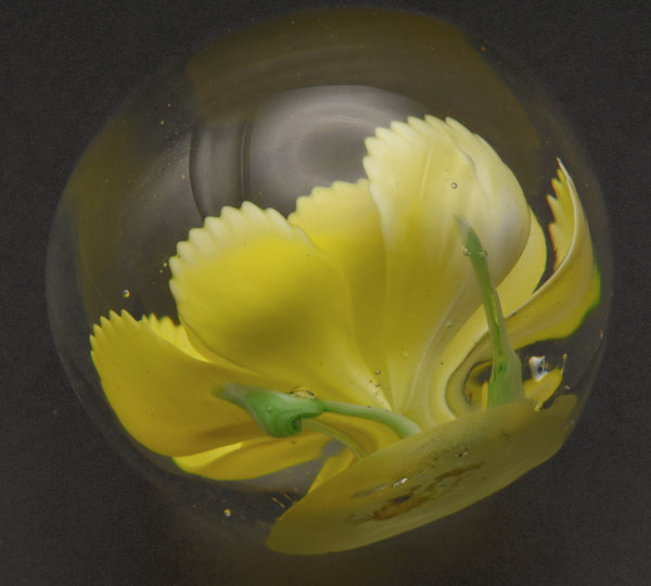 Vintage Yellow Flower Encased Glass Paperweight